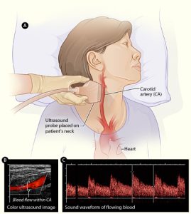 Source: UCSF Department of Surgery